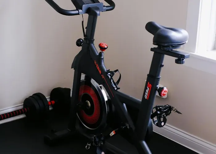 Sleeps 26 • Modern Multi-unit • Gym • Workspaces Holiday home Chicago